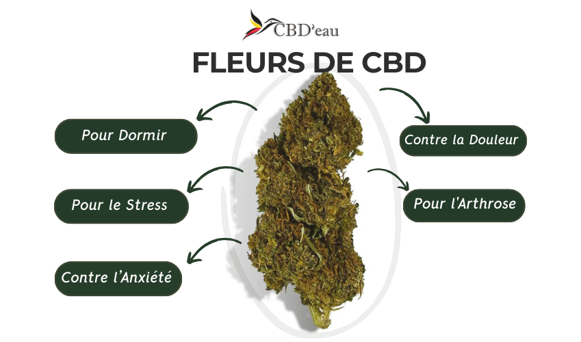 CBD fleurs